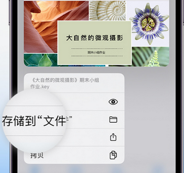 阿勒泰apple维修中心分享iPhone文件应用中存储和找到下载文件 阿勒泰apple维修中心分享iPhone文件应用中存储和找到下载文件