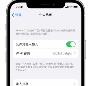 阿勒泰apple服务站点分享iPhone上个人热点丢失了怎么办 