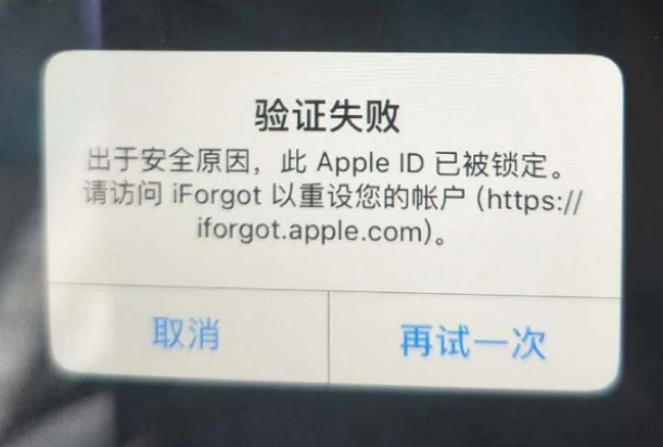 阿勒泰iPhone维修分享iPhone上正常登录或使用AppleID怎么办 