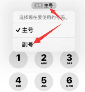 阿勒泰苹果14维修店分享iPhone 14 Pro Max使用副卡打电话的方法 