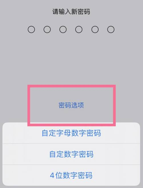 阿勒泰苹果14维修分享iPhone 14plus设置密码的方法 