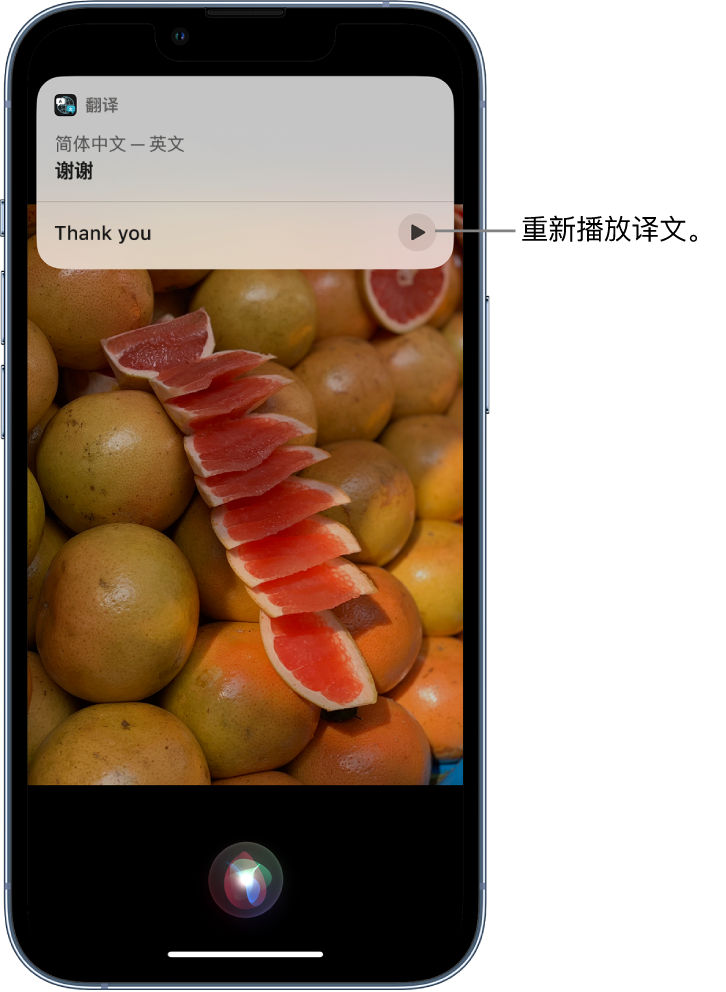 阿勒泰苹果14维修分享 iPhone 14 机型中使用 Siri：了解 Siri 能帮你做什么 