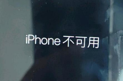 阿勒泰苹果服务网点分享锁屏界面显示“iPhone 不可用”如何解决 