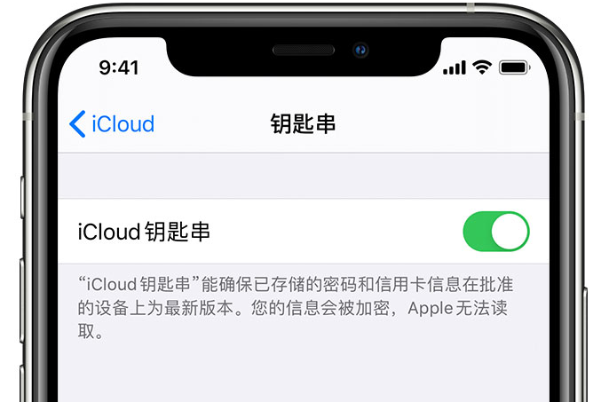 阿勒泰苹果手机维修分享在 iPhone 上开启 iCloud 钥匙串之后会储存哪些信息 